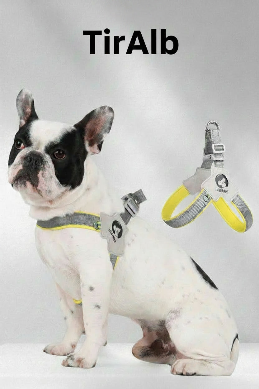 Adjustable Reflective Dog Harness Vest – Comfortable Mesh Chest Strap for Dogs & Cats
