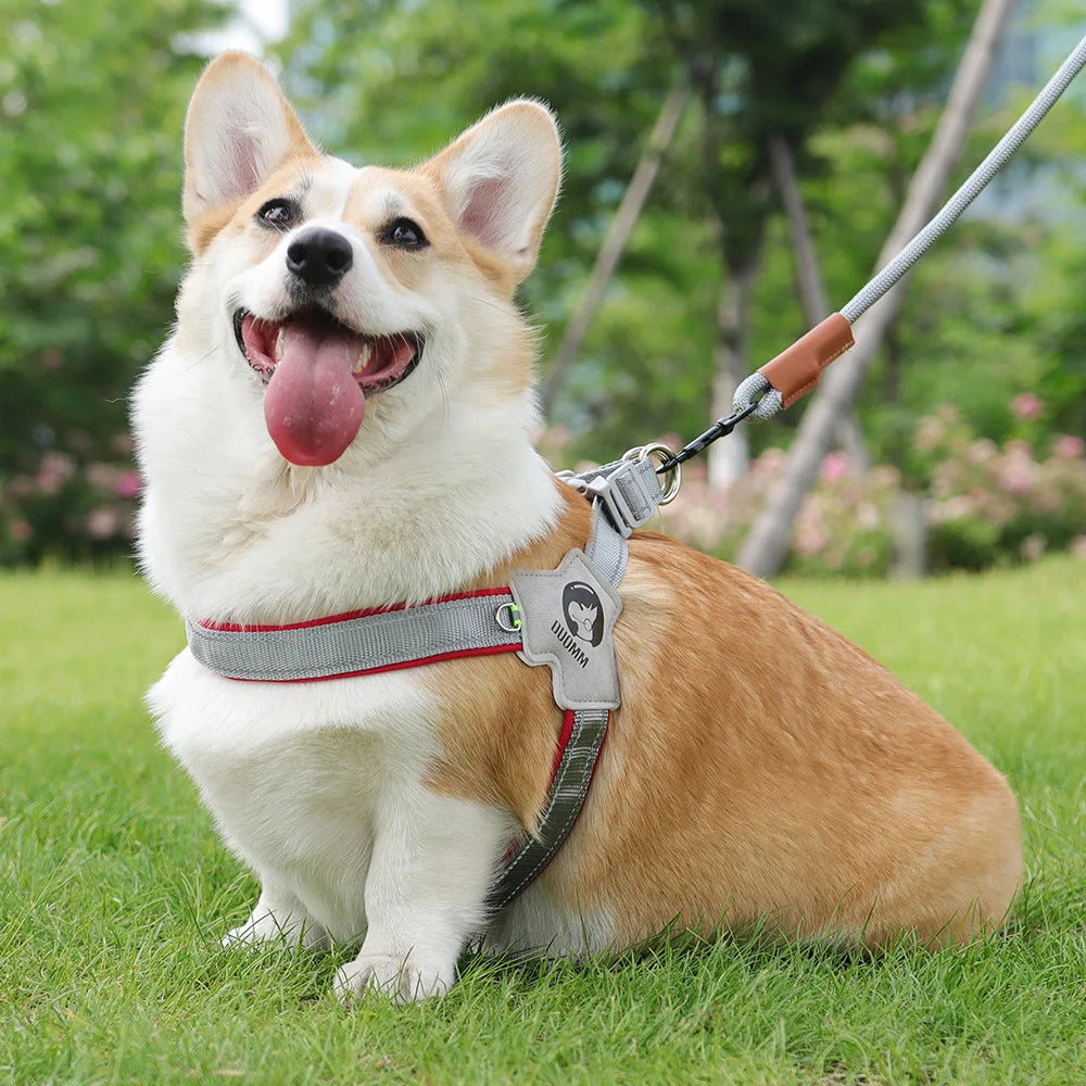 Adjustable Reflective Dog Harness Vest – Comfortable Mesh Chest Strap for Dogs & Cats
