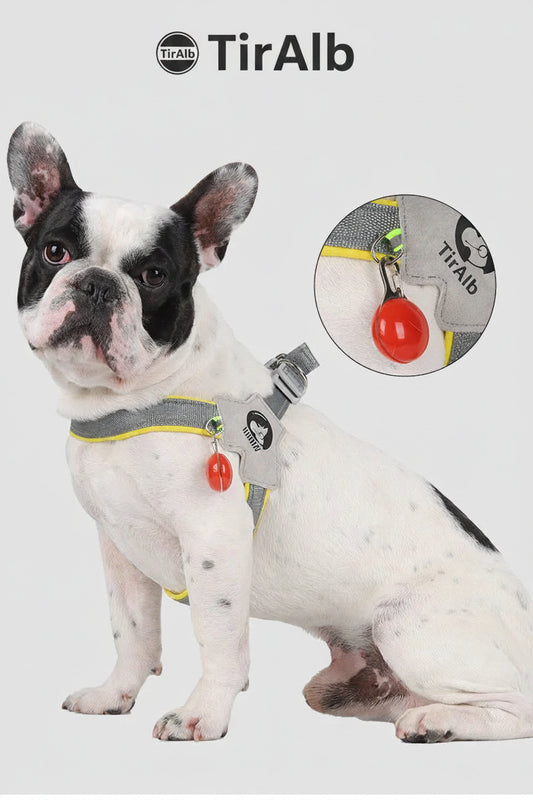 Adjustable Reflective Dog Harness Vest – Comfortable Mesh Chest Strap for Dogs & Cats